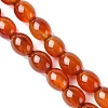 Oval Natural Carnelian Beads Strands G-D622-06-A-5