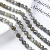 Natural Labradorite Beads Strands G-T108-61-4