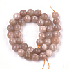 Natural Sunstone Beads Strands G-S333-10mm-019-2