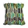 6-Ply Polyester Embroidery Floss OCOR-FZ0001-01Q-1