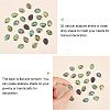 Natural Abalone Shell/Paua Shell Cabochons SSHEL-FH0001-03-4