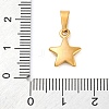 304 Stainless Steel Charms STAS-I127-067G-3