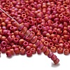 TOHO 6/0 Round Beads X-SEED-TR06-0768-2