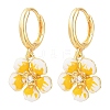 Brass Micro Pave Cubic Zirconia Hoop Dangle Earrings KK-CBA8324-10G-02-4