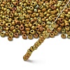 TOHO 6/0 Round Beads X-SEED-TR06-0513F-2