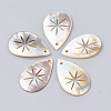 Black Lip Shell Pendants SHEL-T009-08-1