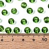 FGB Transparent Glass Seed Beads SEED-N013-01B-10-4