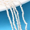 Natural Cultured Freshwater Pearl Beads Strands PEAR-I007-07B-01A-1