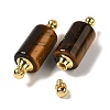Natural Tiger Eye Connector Charms G-Z039-01G-06-2