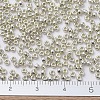 MIYUKI Round Rocailles Beads SEED-G007-RR0181-2