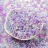 Glass Seed Beads SEED-K009-02B-22-2