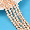 Natural Cultured Freshwater Pearl Beads Strands PEAR-P064-20A-04D-1
