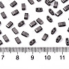 FGB 2-Hole Glass Seed Beads SEED-S031-M-SH576-2