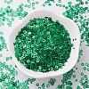 Ornament Accessories Plastic Paillette/Sequins Beads PVC-E001-06-YD02-4