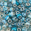 100Pcs Printed Transparent Resin European Beads RESI-PA0001-18D-7