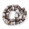 Natural Plum Blossom Tourmaline Beads Strands G-T141-29-2