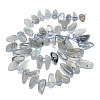 Natural Grey Moonstone Beads Strands G-G106-J01-01-2