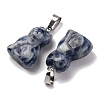 Natural Blue Spot Jasper Pendants G-B127-08P-02-2