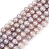 Natural Cultured Freshwater Pearl Beads Strands PEAR-I007-07Z-04A-2