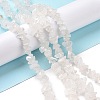 Natural Quartz Crystal Chips Beads Strands F019-2-3
