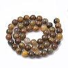 Natural Pietersite Beads Strands G-S333-10mm-010-3