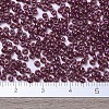 MIYUKI Round Rocailles Beads X-SEED-G007-RR0313-4