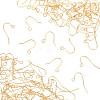 100Pcs 2 Style Brass Earring Hooks KK-PH0003-64-1