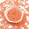 Baking Paint Glass Seed Beads X1-SEED-A032-02J-2