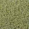 MIYUKI Round Rocailles Beads SEED-X0056-RR0359-3
