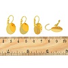 Brass Leverback Earring Findings X-KK-F718-05G-2