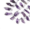 Natural Amethyst Beads Strands G-Q023-B02-01-4