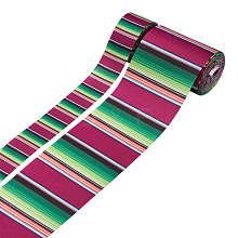 2Rolls 2 Styles Stripe Pattern Printed Polyester Grosgrain Ribbon OCOR-TA0001-37M