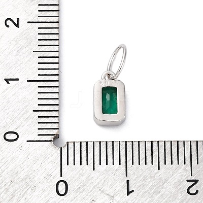 925 Sterling Silver Cubic Zirconia Charms STER-NH0014-01P-05-1