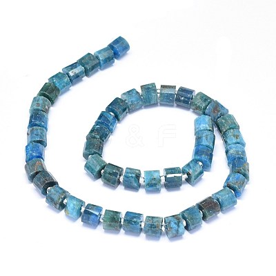 Natural Apatite Beads Strands G-F603-09-1