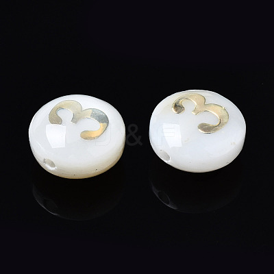 Natural Freshwater Shell Beads SHEL-N003-20-03-1