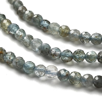 Natural Apatite Beads Strands LS-G-RM2025-A23-3mm-1