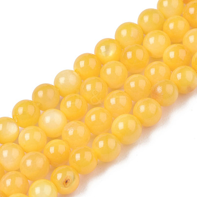 Natural Freshwater Shell Beads Strands BSHE-T009A-01I-1