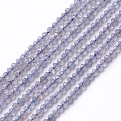 Natural Labradorite Beads Strands G-L581A-002-1