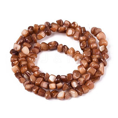 Natural Freshwater Shell Beads Strands SHEL-N037-04C-1