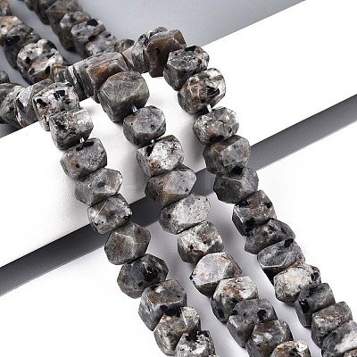 Natural Syenite Beads Strands G-D091-A32-1