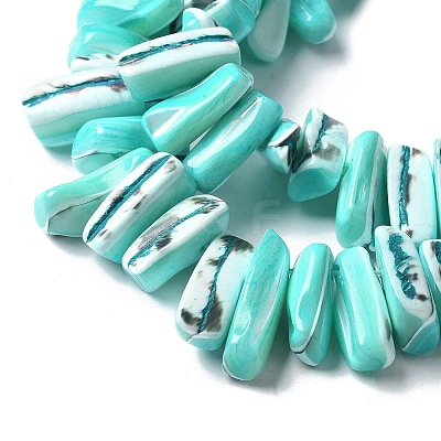Dyed Natural Trochus Shell Beads Strands X-SSHEL-C013-09M-1