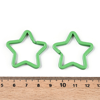 Spray-painted Iron Keychains Clasps IFIN-WH0063-14D-1