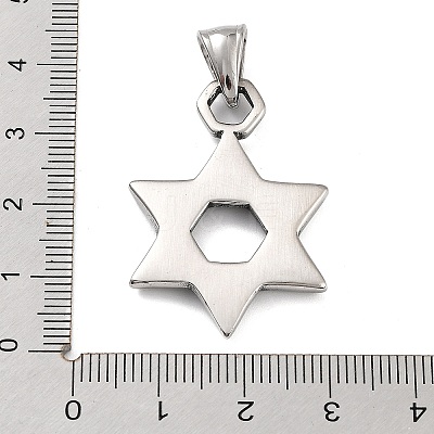 316 Surgical Stainless Steel Pendants STAS-K276-14B-AS-1