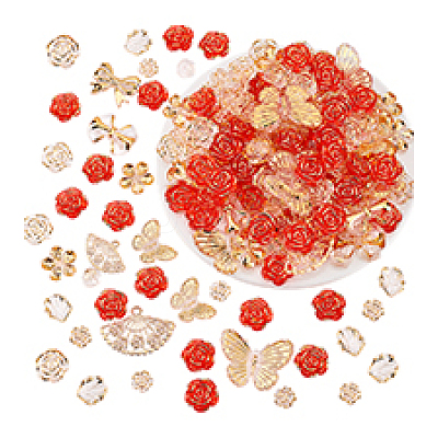 Transparent Acrylic Beads OACR-PH0004-32B-1