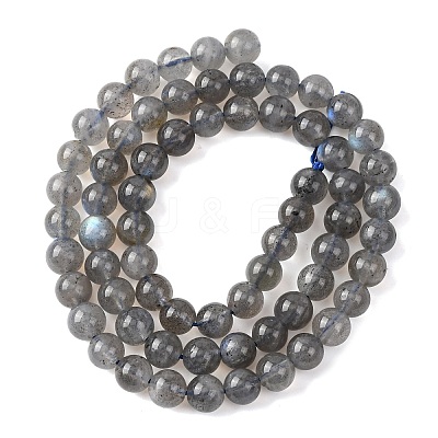 Natural Labradorite Round Bead Strands G-M263-B-03-1