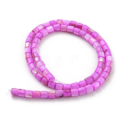 Natural Freshwater Shell Beads Strands SHEL-F008-04B-1
