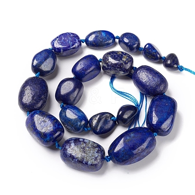 Natural Lapis Lazuli Beads Strands G-I194-27-1