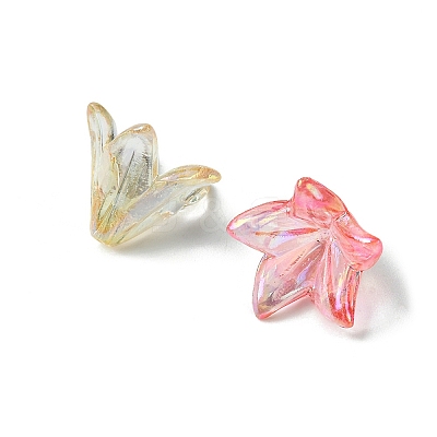 Transparent Acrylic Bead Caps OACR-FS0001-49-1