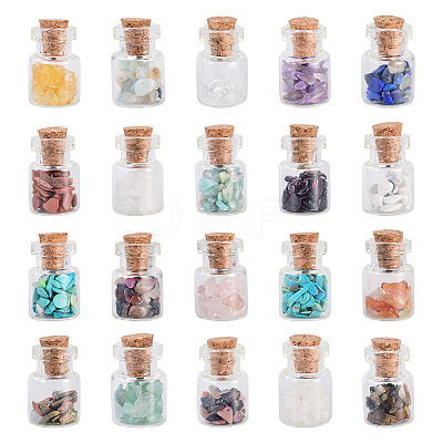 Natural & Synthetic Gemstone Chip Beads Glass Bottles G-KS0001-02-1