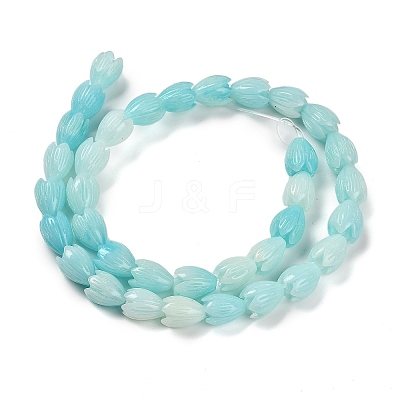 Synthetic Shell Dyed Carved Beads Strands SHEL-K007-08B-02-1